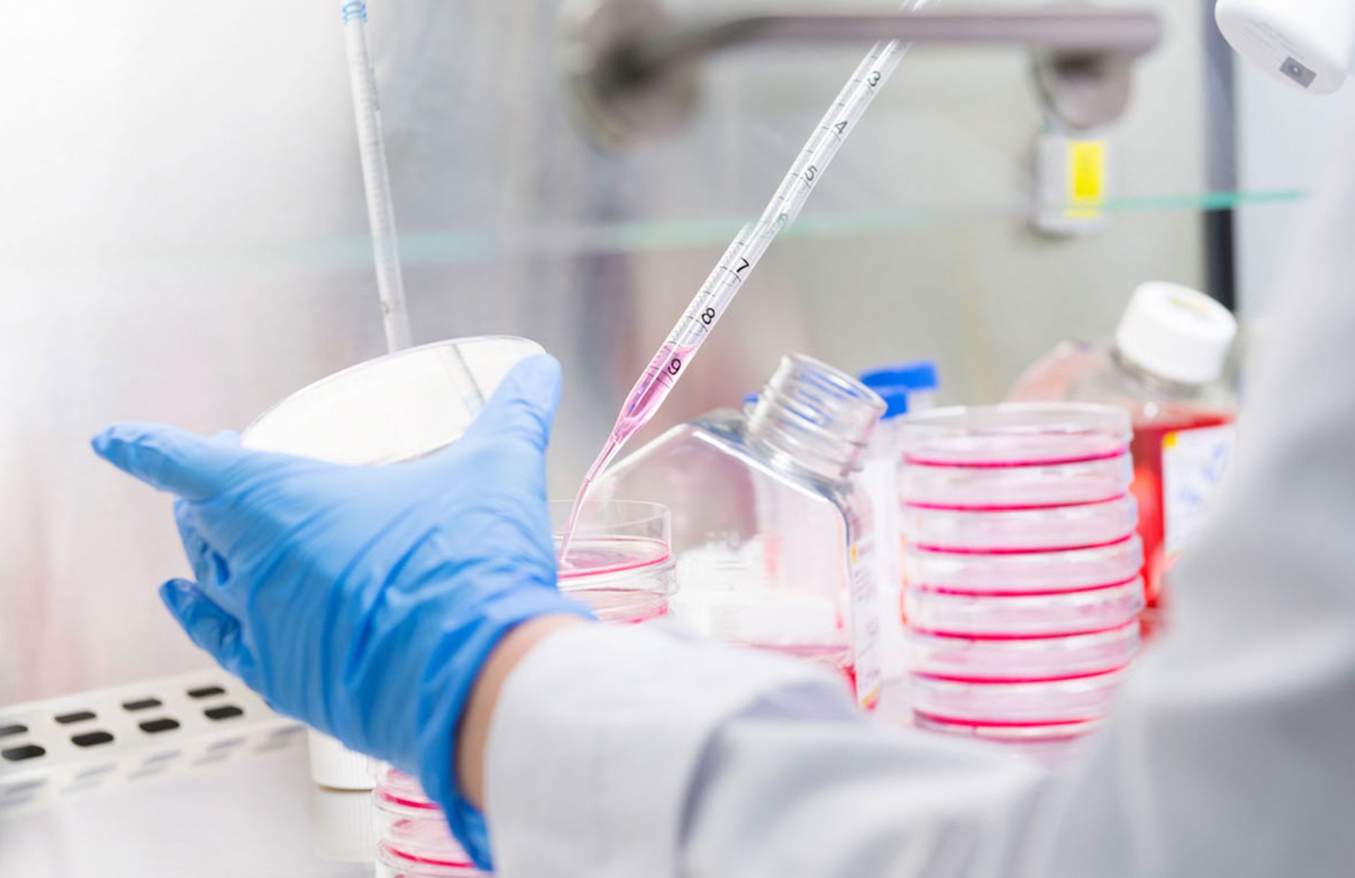 Cualidades clave que las marcas buscan en un fotógrafo profesional