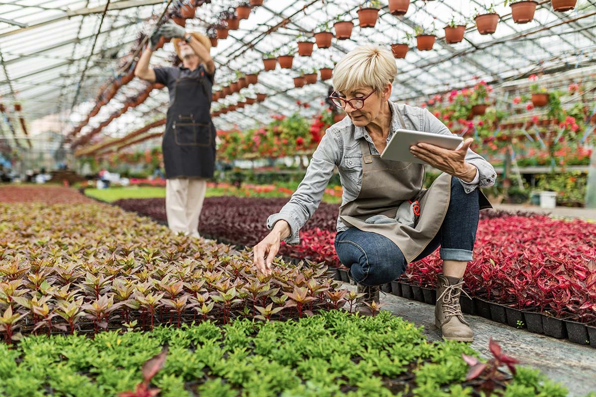 Fotografía y vídeo para empresas en Barcelona